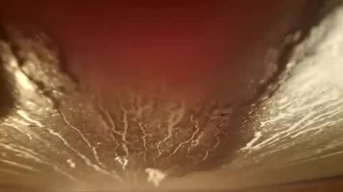 youth505 online show from 12/05/25, 02:20