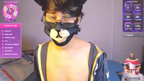 the puppy boy online show from 03/07/26, 03:47