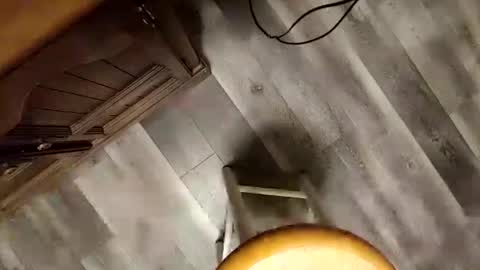 yupthatshim online show from 01/23/25, 05:35