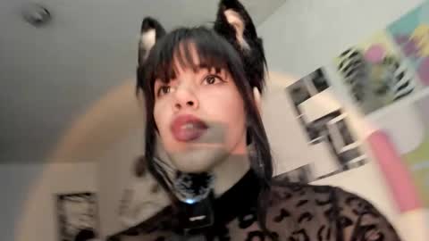 paola online show from 11/26/25, 08:43