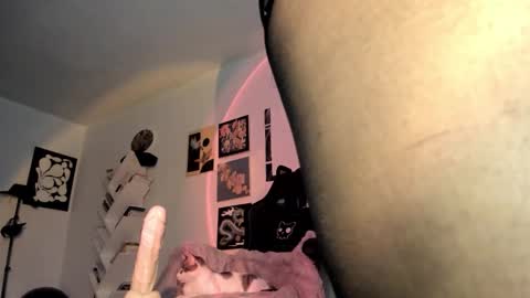 Snapshot of yury_sun chatting on 01/15/26, 09:18 paola online show from 01/15/26, 09:18