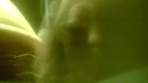 Snapshot of zaboski4 chatting on 02/25/26, 07:40 zaboski4 online show from 02/25/26, 07:40