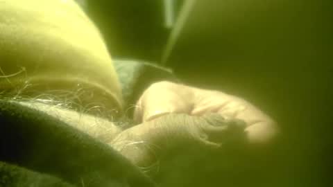 Snapshot of zaboski4 chatting on 02/26/26, 08:24 zaboski4 online show from 02/26/26, 08:24