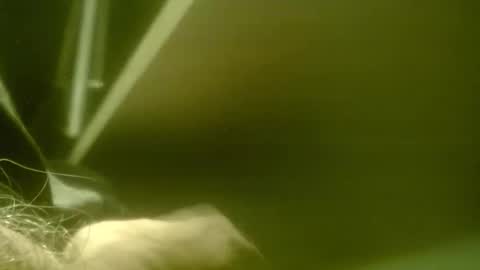 Snapshot of zaboski4 chatting on 03/07/26, 08:33 zaboski4 online show from 03/07/26, 08:33