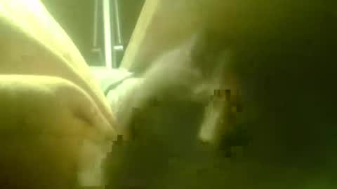 Snapshot of zaboski4 chatting on 03/18/26, 07:44 zaboski4 online show from 03/18/26, 07:44