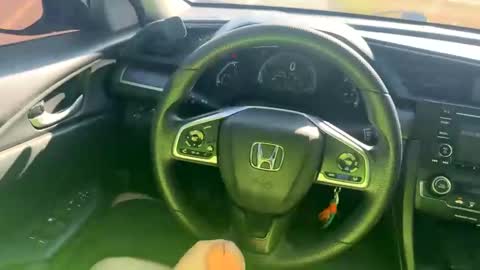 zadddy209 online show from 12/20/24, 07:39