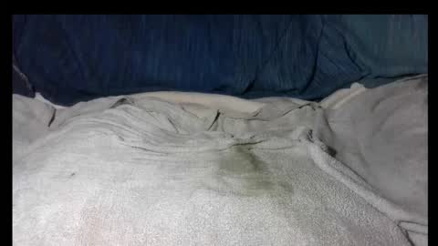 pollasucia13 online show from 12/02/25, 06:36