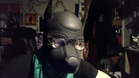 ZanePup online show from 06/29/26, 07:47