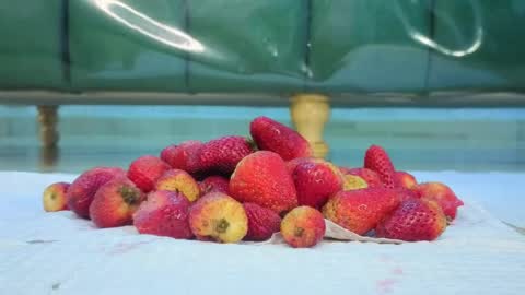 Isabella online show from 03/31/26, 12:49