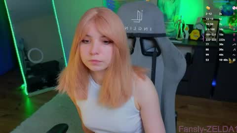 Zelda online show from 05/29/26, 11:52