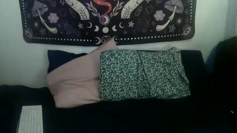 Zelda online show from 01/24/25, 01:24