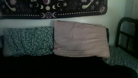 Zelda online show from 02/17/25, 02:09