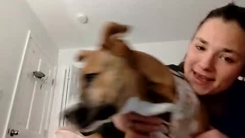 Snapshot of zellelajay2009 chatting on 02/12/25, 02:14 KENDAL Kaylee online show from 02/12/25, 02:14