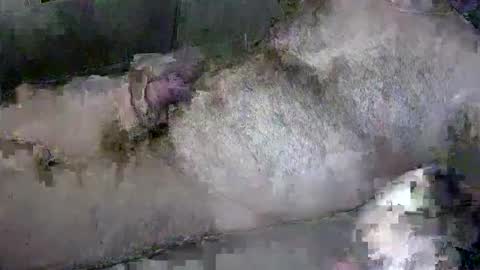 Snapshot of zepincam chatting on 10/13/25, 05:18 zepincam online show from 10/13/25, 05:18