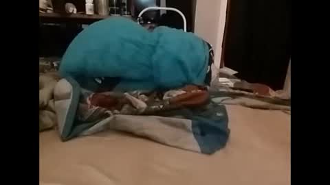 zero online show from 12/14/24, 03:36