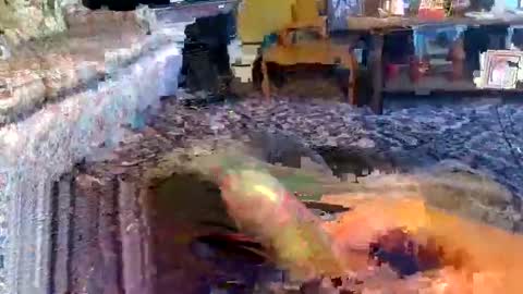 Zerr online show from 11/01/25, 09:00