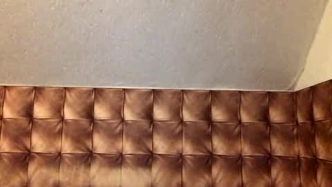 zervale online show from 01/07/25, 02:41