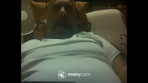 Snapshot of zeusdioss chatting on 07/08/26, 12:48 zeusdioss online show from 07/08/26, 12:48