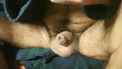 Snapshot of zevioo77 chatting on 12/22/24, 08:16 zevioo77 online show from 12/22/24, 08:16