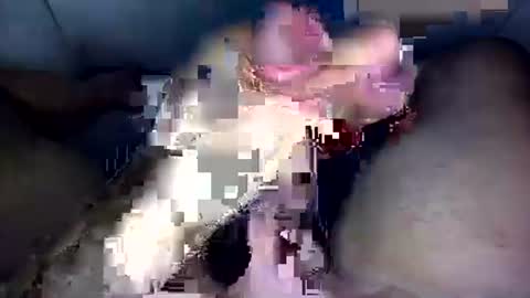 Snapshot of zezin1 chatting on 09/19/25, 03:30 zezin1 online show from 09/19/25, 03:30