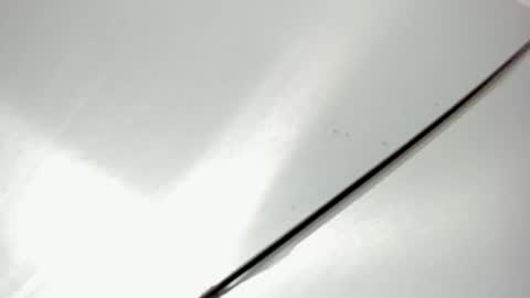 zia online show from 02/20/26, 11:22