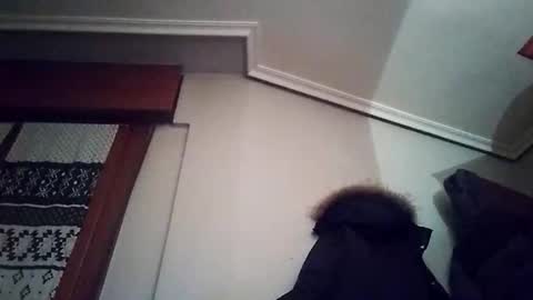 zigor13 online show from 02/04/26, 09:31