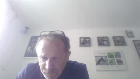 Snapshot of zippi55 chatting on 07/17/26, 01:29 Zippi online show from 07/17/26, 01:29