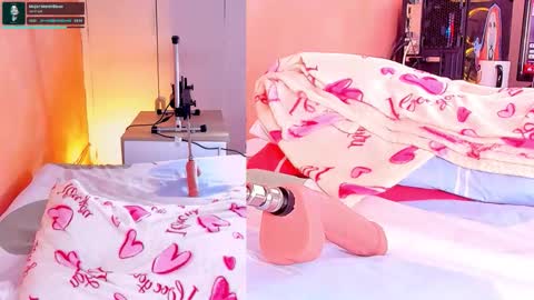    online show from 02/24/26, 11:19