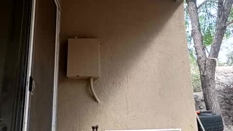 zoeoved92 online show from 10/08/25, 04:37