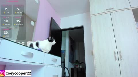 Snapshot of zoey_cooper chatting on 11/12/25, 01:39 zoey Independent model online show from 11/12/25, 01:39