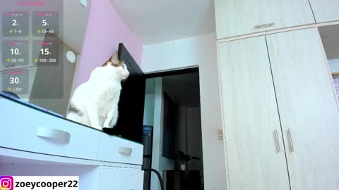 Snapshot of zoey_cooper chatting on 11/15/25, 01:36 zoey Independent model online show from 11/15/25, 01:36