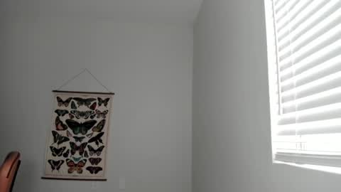 Snapshot of zoiebutterfly chatting on 04/13/26, 08:58 Zoie online show from 04/13/26, 08:58