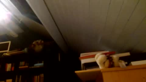 Snapshot of zolexthomas chatting on 01/15/25, 04:43 zolexthomas online show from 01/15/25, 04:43