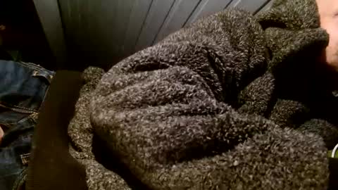 Snapshot of zolexthomas chatting on 02/01/25, 07:55 zolexthomas online show from 02/01/25, 07:55