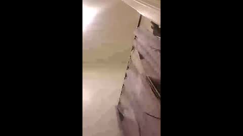 zooted12 online show from 02/24/26, 10:19