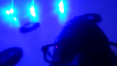 zooted12 online show from 05/11/26, 10:32