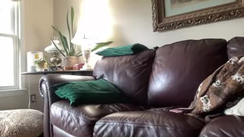 Jesse online show from 06/15/26, 10:45