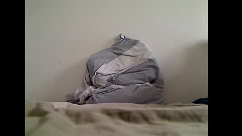 zwweener online show from 01/14/26, 12:33