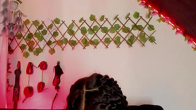 Cata green online show from 12/11/24, 10:49