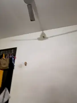 rajstrip12650 online show from 12/06/24, 05:22