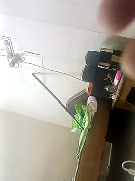 Rupok dulavai online show from 10/26/25, 05:24