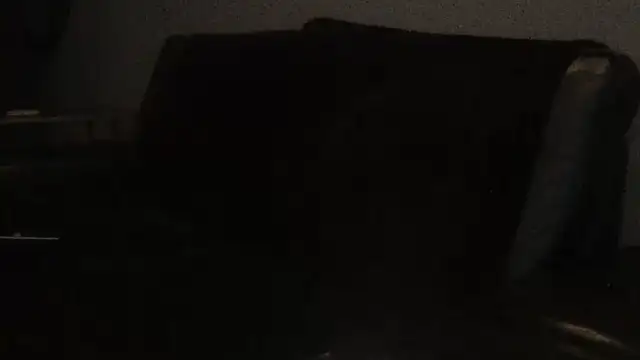 Pup Rush online show from 09/21/25, 12:45