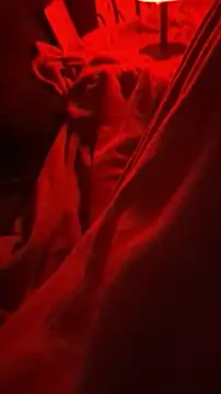 BirdyOfficial   online show from 11/07/25, 01:27