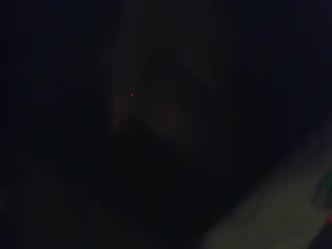 Snapshot of Ethan_29 chatting on 02/04/26, 03:45 Ethan 29 online show from 02/04/26, 03:45