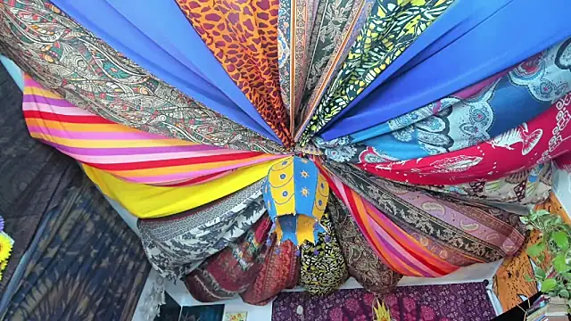 Snapshot of ElizaGrey_ chatting on 02/23/25, 03:40 ElizaGrey online show from 02/23/25, 03:40