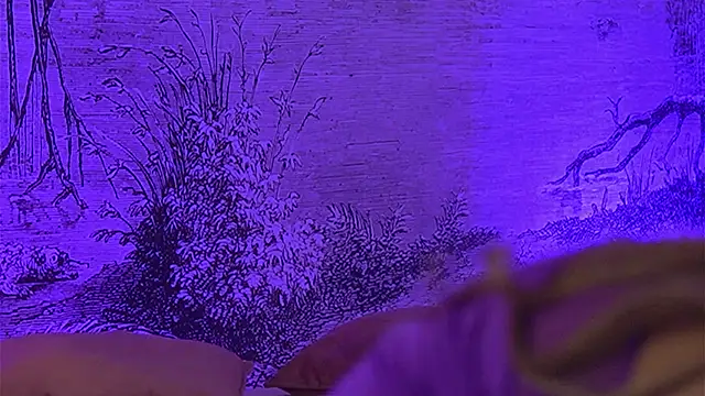 YamiraKim online show from 04/09/26, 06:13