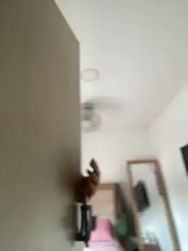 Snapshot of Lia_flowers chatting on 03/02/25, 05:25 Lia flowers online show from 03/02/25, 05:25