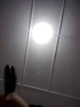 Snapshot of Lia_flowers chatting on 11/02/25, 12:35 Lia flowers online show from 11/02/25, 12:35