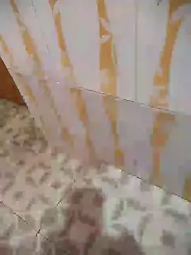 Snapshot of Sanjaymartin29 chatting on 12/28/24, 03:58 Sanjaymartin29 online show from 12/28/24, 03:58