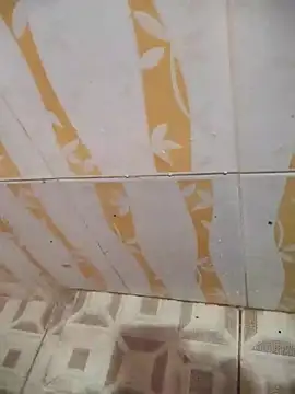 Snapshot of Sanjaymartin29 chatting on 02/06/25, 03:37 Sanjaymartin29 online show from 02/06/25, 03:37